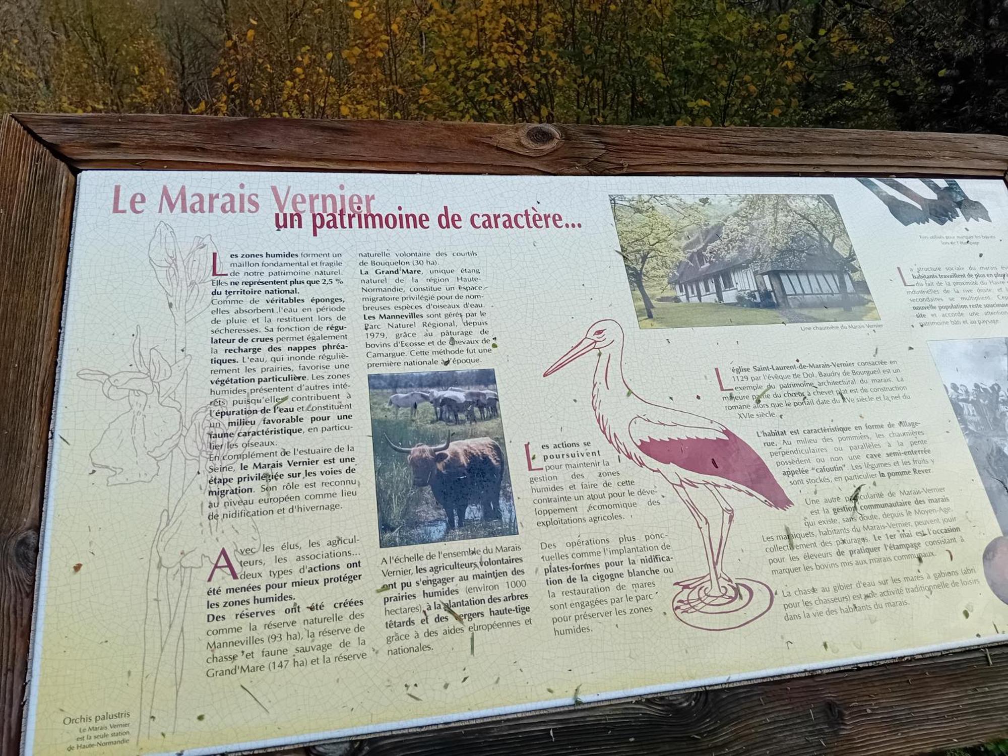 Gite Du Roy Marais-Vernier Bagian luar foto